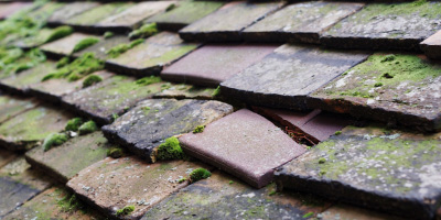 Great Denham roof repair costs
